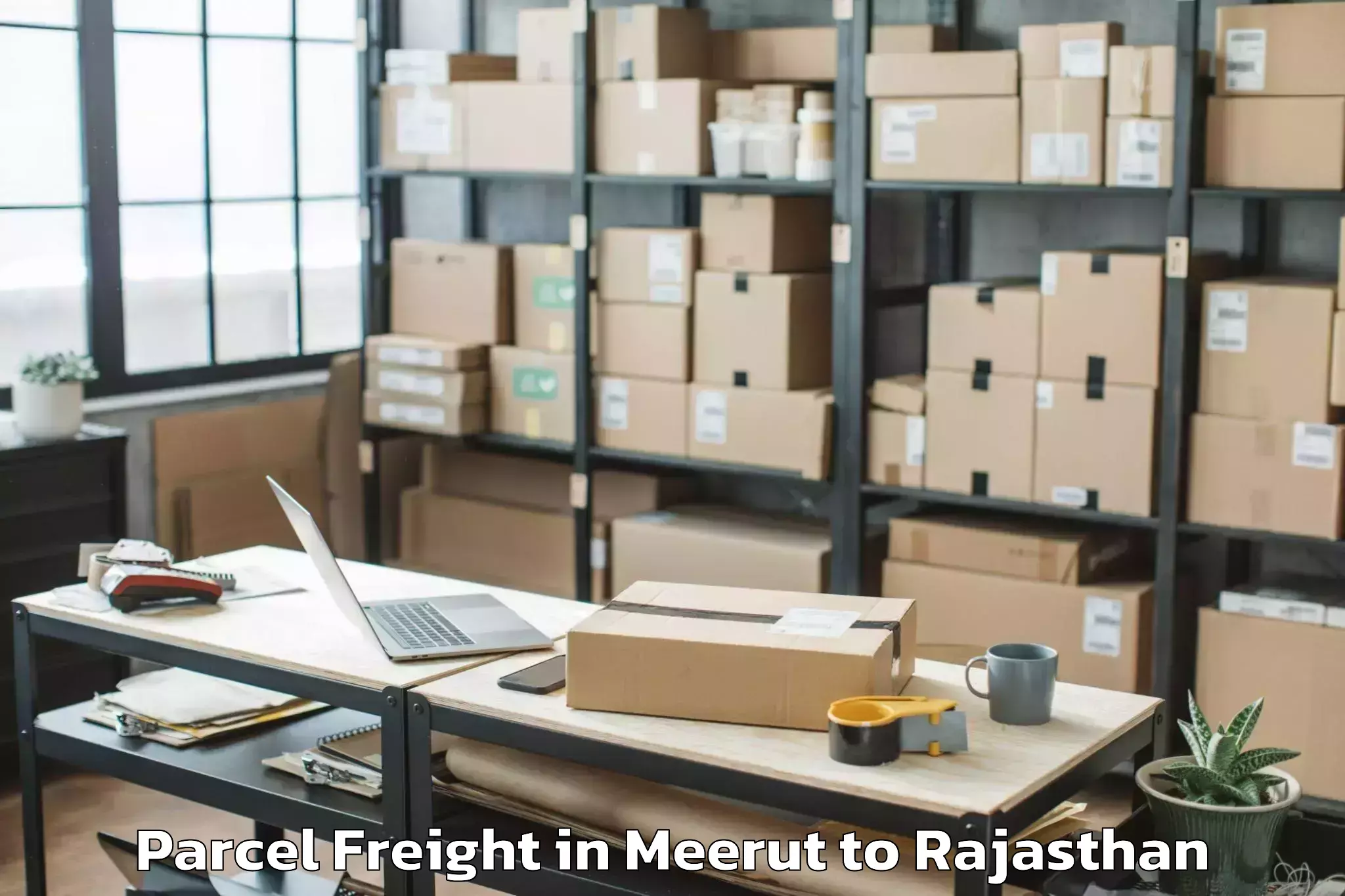 Book Your Meerut to Sambhar Parcel Freight Today